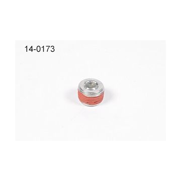 3/8NPT Stecker Radium Engineering