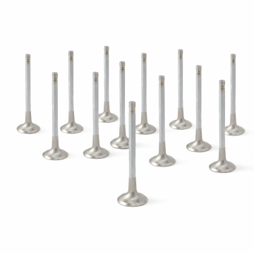 ZRP Std Auslassventile aus Inconel für Lamborghini 5.2L Gallardo Huracan 2008-