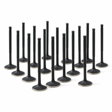 ZRP Std Einlassventile Black Nitride für Lamborghini 5.2L Gallardo Huracan 2008-