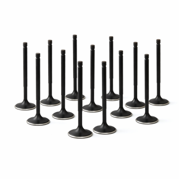 ZRP Standard Einlassventile Black Nitride für Toyota Supra 3.0L 2JZ