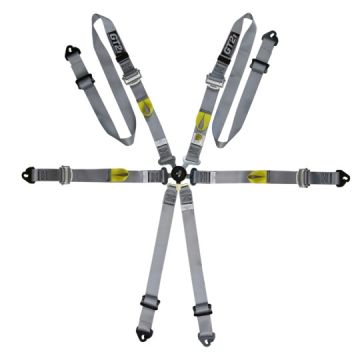 GT2I Sedan Gurtzeug Pro V3 Grau FIA Approved 8853-2016 bis 2030