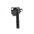 Ignition coil BOSCH 221604036