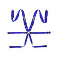 Sparco BRN0054B0.B Competition H-3 6 Point Harness FIA Approved 8853-2016 Blue