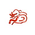 Coolant Hoses Forge Motorsport FMKC010.R for Audi TT MK2 8J 2.0 TFSi 2006 Red