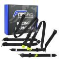 Renngurt FMIC.Pro FIA 2031 8853-2016 6-Punkt 2