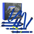 Renngurt FMIC.Pro FIA 2031 8853-2016 6-Punkt 2