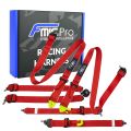 Renngurt FMIC.Pro FIA 2031 8853-2016 6-Punkt 2