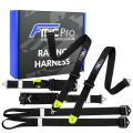 Racing Harness Formula FMIC.Pro FIA 2031 8853-2016 6-Point 2