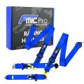 Renngurt FMIC.Pro FIA 2031 8854/98 4-Punkt 3