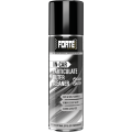 Forte On-Car Particulate Filter Cleaner professioneller DPF FAP GPF KAT Reiniger zur Reinigung im Fahrzeug 500ml-1