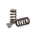 Ventilfedern-Satz Beehive und Titan Federteller-Satz Kelford Cams für Suzuki Swift