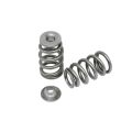 Spring set Extreme Beehive and titanium retainers Kelford Cams for Toyota 1JZ-GTE