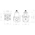 Nuke Performance Fuel Pressure Regulator FPR100s AN-6-6