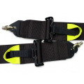Renngurt FMIC.Pro FIA 8854/98 4-Punkt 3