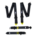 Renngurt FMIC.Pro FIA 8854/98 4-Punkt 3