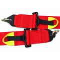 Renngurt FMIC.Pro FIA 8854/98 4-Punkt 3