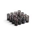 Stiffer Valve Springs RTMG Performance for 1.4 TSI EA111