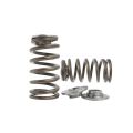 Spring set Beehive and titanium retainers Kelford Cams for Toyota 3RZ-FE