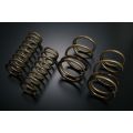 Tein High Tech Springs for Subaru Forester SH5