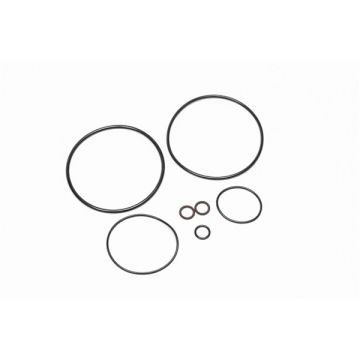 AOS-R O-Ring Wartungssatz Radium Engineering