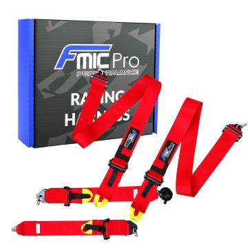 Renngurt FMIC.Pro FIA 2031 8854/98 4-Punkt 3"x 3" Rot