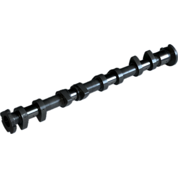 Tuning Intake Camshaft Swiatek for Hyundai 1.6 16vl Stage W