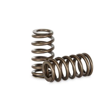 Spring set Beehive Kelford Cams for Ford Duratec 2.0L