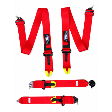 Renngurt FMIC.Pro FIA 8854/98 4-Punkt 3"x 3" Rot