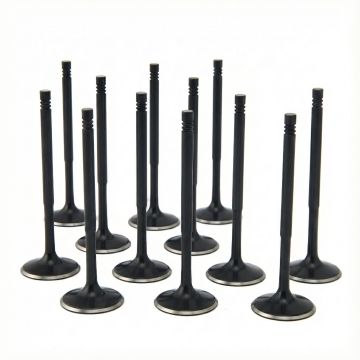 ZRP Std Intake Valves Black Nitride for BMW 3.2L S50 S54