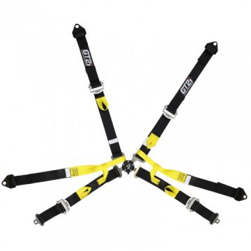 GT2I Pro Einzelsitzergeschirr 6-Punkt Schwarz FIA Genehmigt 8853-2016