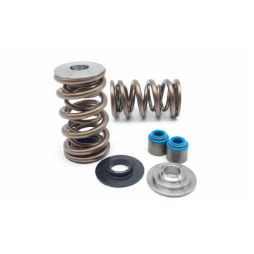 Dual Spring set and titanium retainers Kelford Cams for Chevy LS1