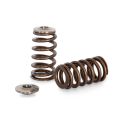 Spring set Beehive and titanium retainers Kelford Cams for Toyota Beams 3SGE