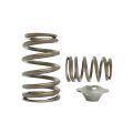 Spring set Beehive and titanium retainers Kelford Cams for Nissan SR20VE