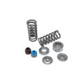 Spring set and titanium retainers Kelford Cams for Honda L15B7