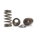 Spring set Beehive and titanium retainers Kelford Cams for Ford Barra BA FG Falcon