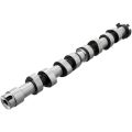 Tuning Camshaft Swiatek for Seat / VW 1.0 / 1.4 8v
