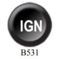 Insert button 15mm B531 Ecumaster
