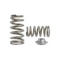 Ventilfedern-Satz Beehive und Federteller-Satz Kelford Cams für Ford Gen2  3.5L Ecoboost V6-1