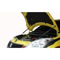 GReddy Carbon Bonnet Struts for Suzuki Swift Sport ZC32S (12-17)-1