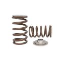 Ventilfedern-Satz und Titan Federteller-Satz Kelford Cams für Toyota 1JZ-GTE-1