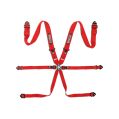 Sparco BRN0054B0.R Competition H-3 6 Punkt Sicherheitsgurte FIA 8853-2016 Rot-1