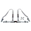 DriftShop 4 Point Harness 2