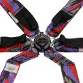 DriftShop ExtraBalls 6-Punkt-Gurt Mehrfarbig FIA Approved 8853-2