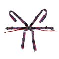 DriftShop ExtraBalls 6-Punkt-Gurt Mehrfarbig FIA Approved 8853-1