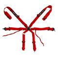 DriftShop ExtraBalls 6 Point Harness Red FIA Approved 8853-1