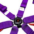 DriftShop 6 Point Harness Purple FIA Approved 8853-4