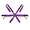 DriftShop 6 Point Harness Purple FIA Approved 8853-1
