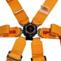 DriftShop 6-Punkt-Gurt Orange FIA Approved 8853-2