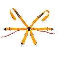 DriftShop 6-Punkt-Gurt Orange FIA Approved 8853-1