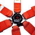 DriftShop 6-Punkt-Gurt Rot FIA Approved 8853-3